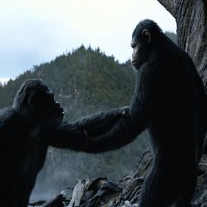 Foto Planeta dos Macacos: O Confronto