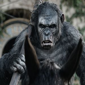 Foto Planeta dos Macacos: O Confronto