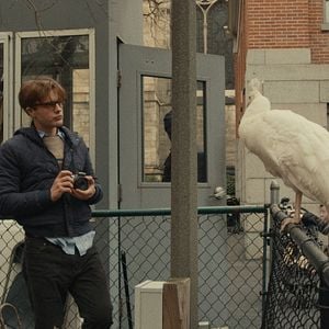 Foto O Universo no Olhar