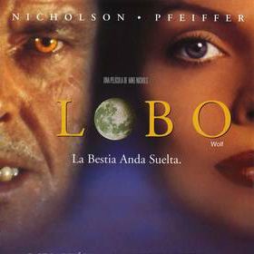 Foto Lobo