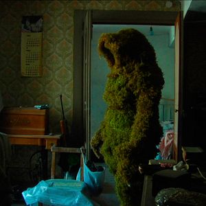 Foto A Selva Interior