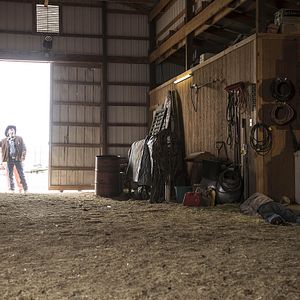 Foto Robert Taylor (II)