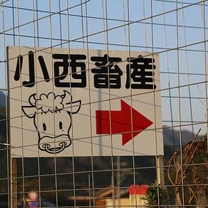 Foto Steak (R)evolution