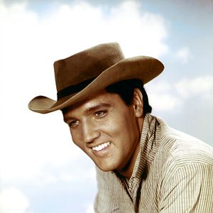 Foto Estrela de Fogo