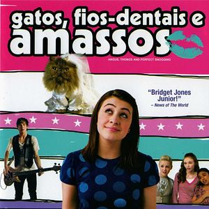 Foto Gatos, Fios Dentais e Amassos