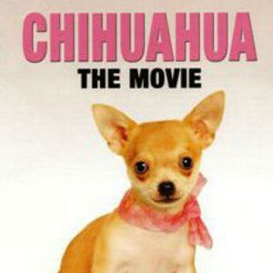 Foto Chiuaua: O Filme