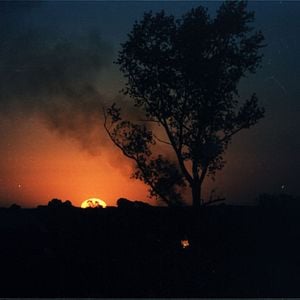 Foto Cinzas do Paraíso