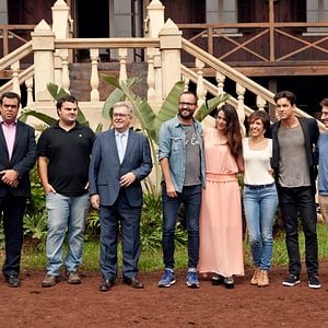 Foto Palmeiras na Neve