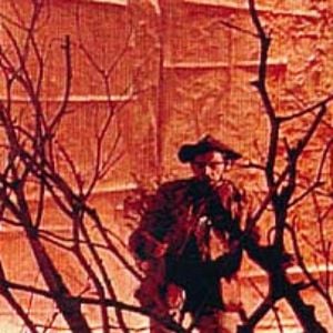 Foto Uma Mulher Vestida de Sol