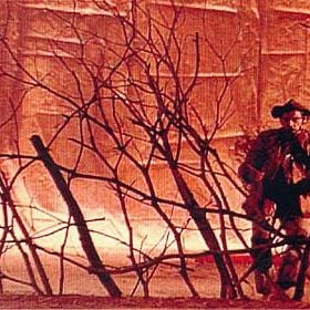 Foto Uma Mulher Vestida de Sol