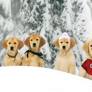 Foto Snow Buddies - Uma Aventura no Gelo