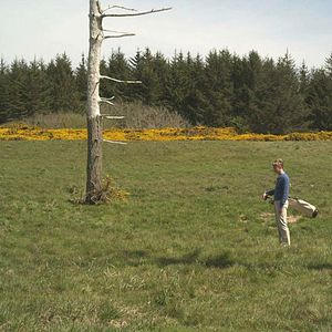 Foto O Reino do Golfe