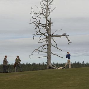 Foto O Reino do Golfe