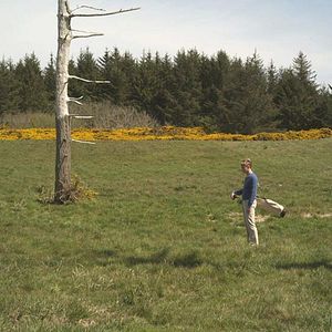 Foto O Reino do Golfe