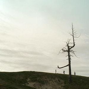 Foto O Reino do Golfe