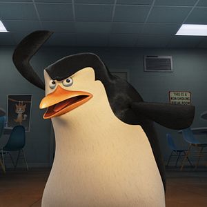 Foto Os Pinguins de Madagascar