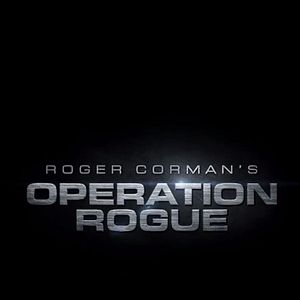 Foto Operação Rogue