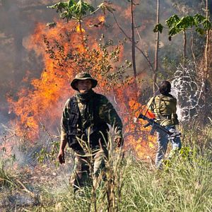 Foto Operação Rogue