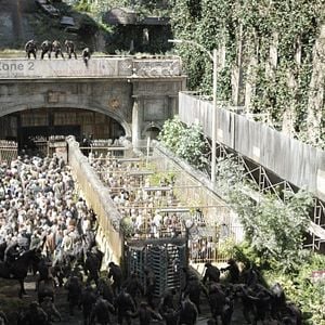 Foto Planeta dos Macacos: O Confronto