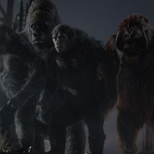 Foto Planeta dos Macacos: O Confronto