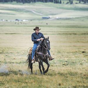 Foto Robert Taylor (II)