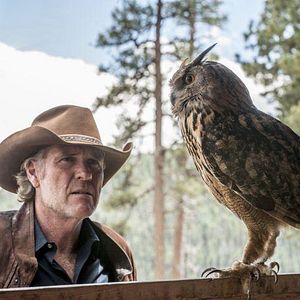 Foto Robert Taylor (II)