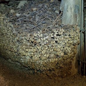 Foto Assim na Terra Como no Inferno