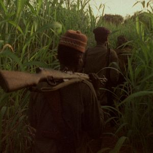 Foto Sobre a Violência