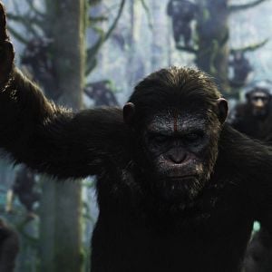 Foto Planeta dos Macacos: O Confronto