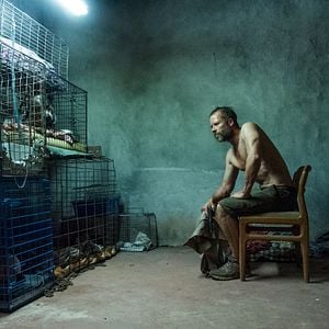 Foto The Rover - A Caçada