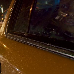 Foto Canção da Floresta