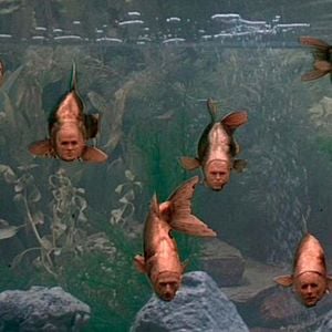 Foto Monty Python - O Sentido da Vida