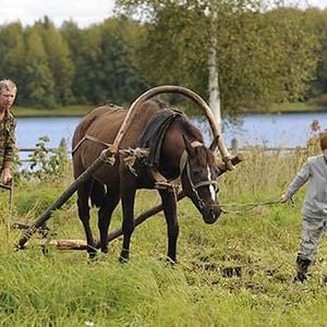 Foto As Noites Brancas do Carteiro