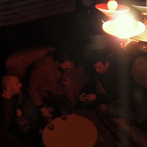 Foto Dromedário no Asfalto