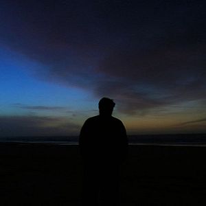 Foto Dromedário no Asfalto