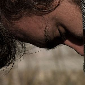 Foto Dromedário no Asfalto