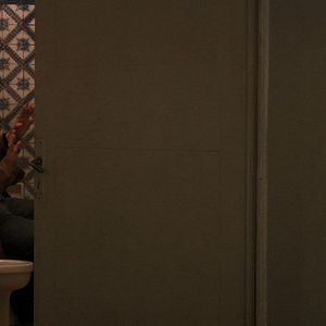 Foto Dromedário no Asfalto