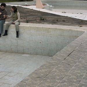 Foto Dromedário no Asfalto