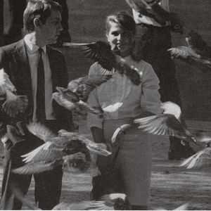 Foto Todas as Mulheres do Mundo