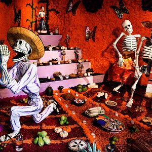 Foto Que Caramba é a Vida