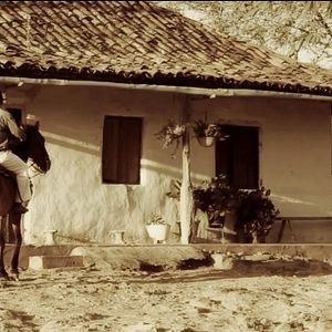 Foto O Resgate do Pavão Misterioso