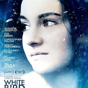 Foto Pássaro Branco na Nevasca