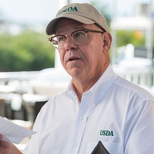 Foto Winter, o Golfinho 2