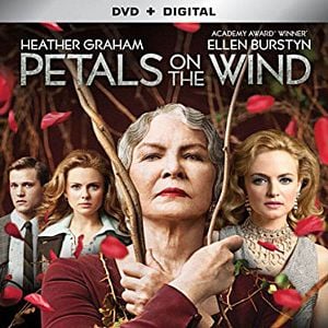 Foto Pétalas ao Vento