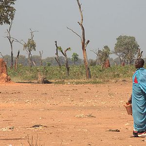 Foto Beats of the Antonov