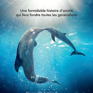 Foto Winter, o Golfinho 2