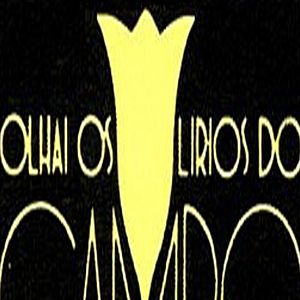 Foto Olhai Os Lírios do Campo