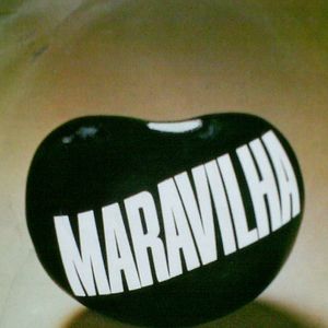 Foto Feijão Maravilha