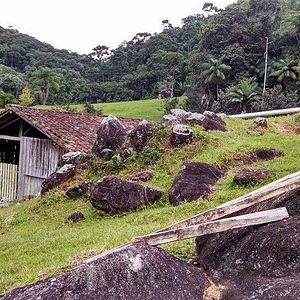 Foto Oração do Amor Selvagem