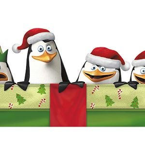 Foto Os Pinguins de Madagascar